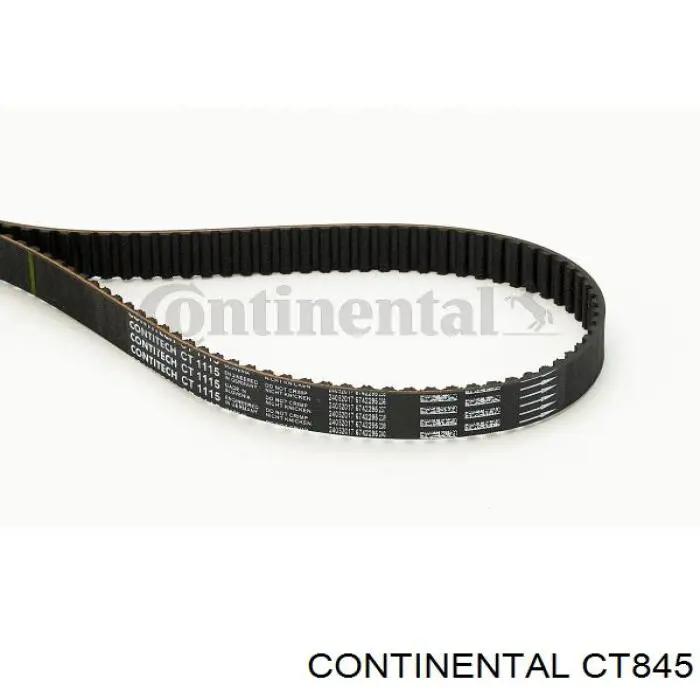 ГРМ ремни Continental/Siemens CT845