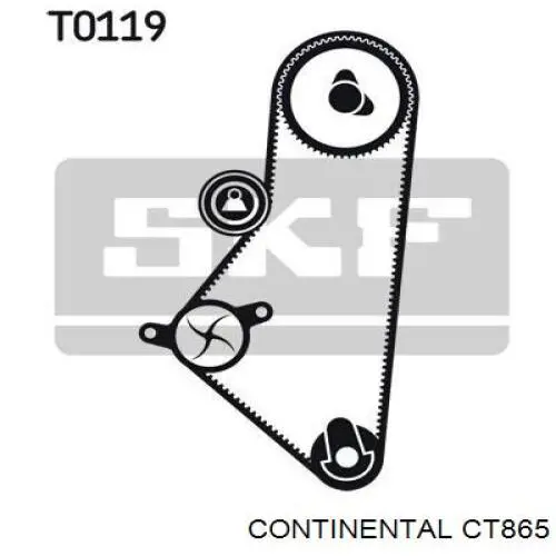 Correa distribucion CT865 Continental/Siemens