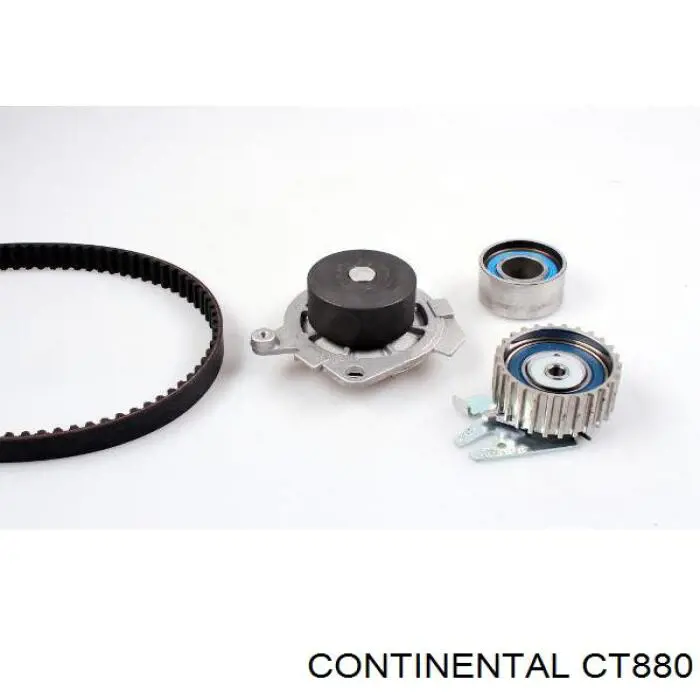 CT880 Continental/Siemens ремень грм