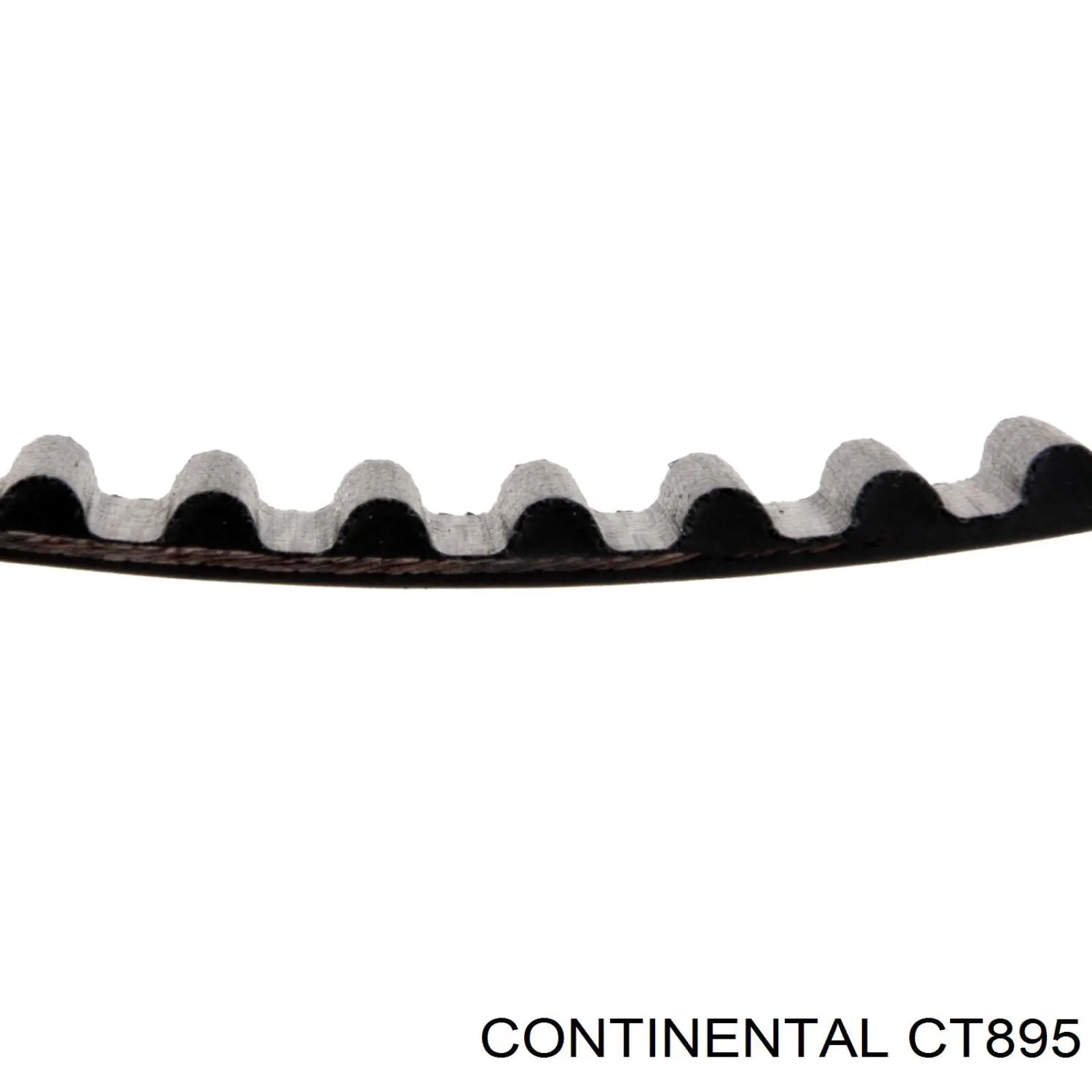 CT895 Continental/Siemens Ремень двигателя