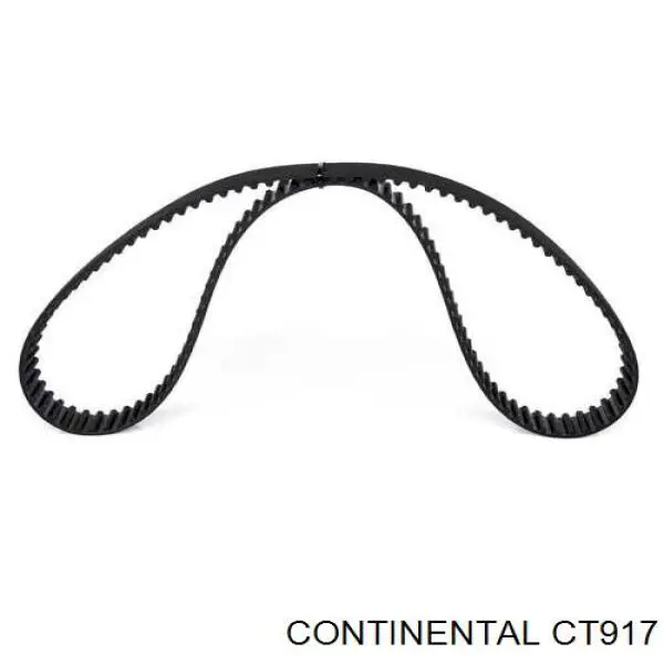 CT917 Continental/Siemens