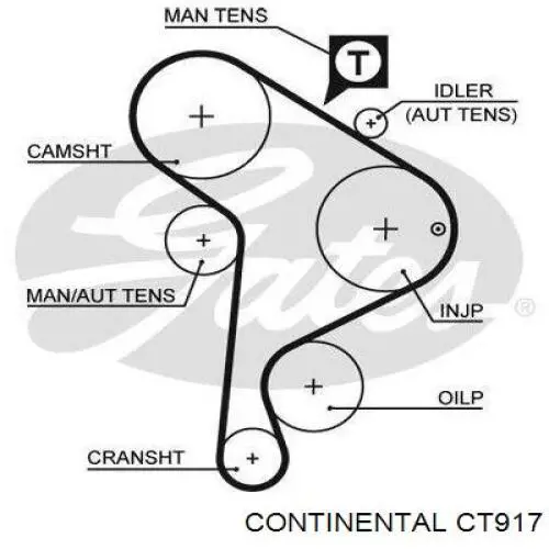 CT917 Continental/Siemens Ремень двигателя