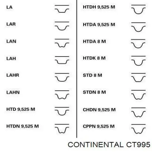 Correa distribucion CT995 Continental/Siemens