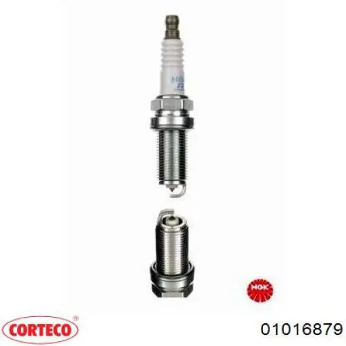 Сальник редуктора заднего моста Corteco 01016879 цена, от 12.22 USD
