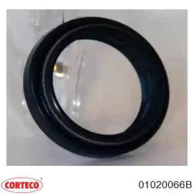 01020066B Corteco