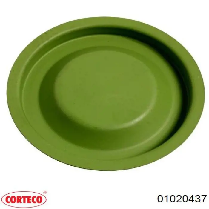  01020437 Corteco