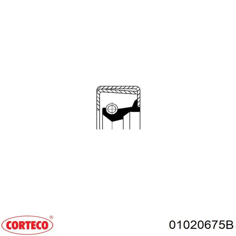  01020675B Corteco
