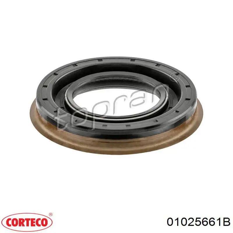 Купить 01025661B Corteco Сальник хвостовика