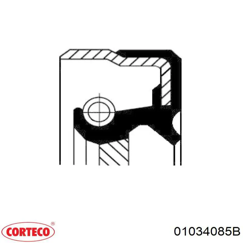  01034085B Corteco