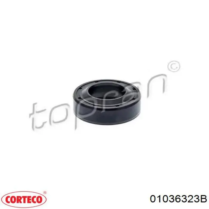 Купить 01036323B Corteco Сальник АКПП/КПП (входного/первичного вала)