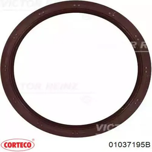 Сальник АКПП/КПП первичного вала Corteco 01037195B