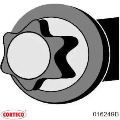 Болт головки блока циліндрів, ГБЦ 016249B Corteco