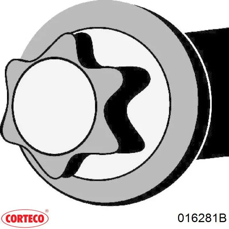 Болт головки блока цилиндров, ГБЦ Corteco 016281B цена, от 19.61 USD