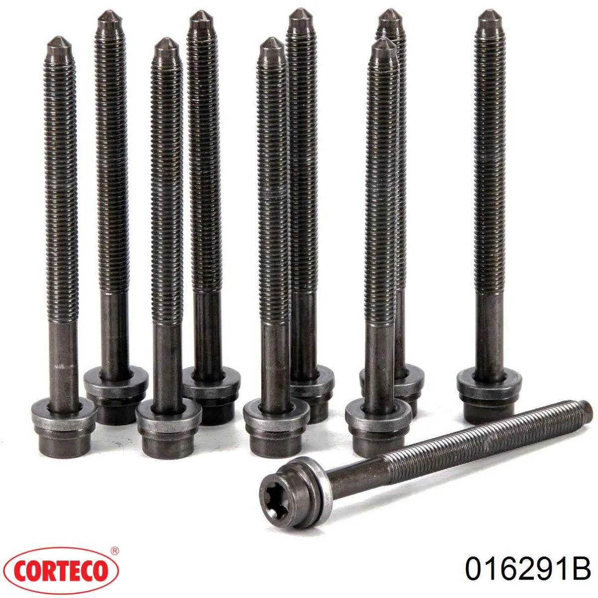 Купить 016291B Corteco Болт ГБЦ