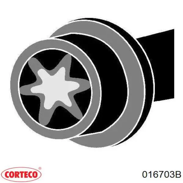 Болт головки блока цилиндров, ГБЦ Corteco 016703B цена, от 37.41 USD