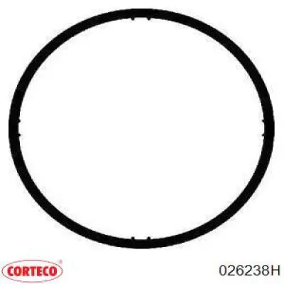Прокладка впускного коллектора CORTECO 026238H