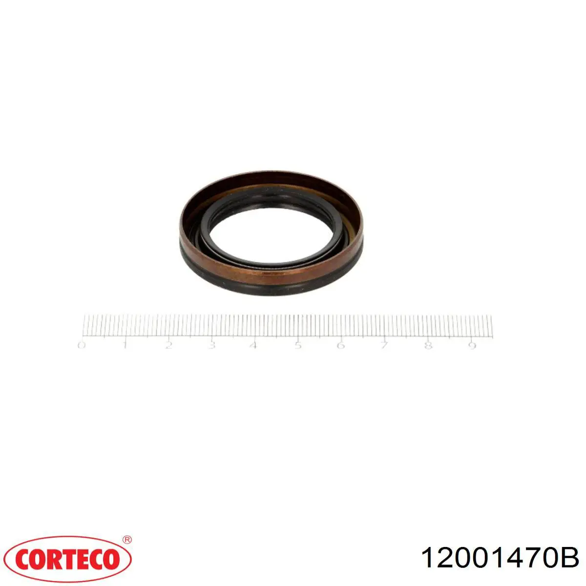 12001470B Corteco