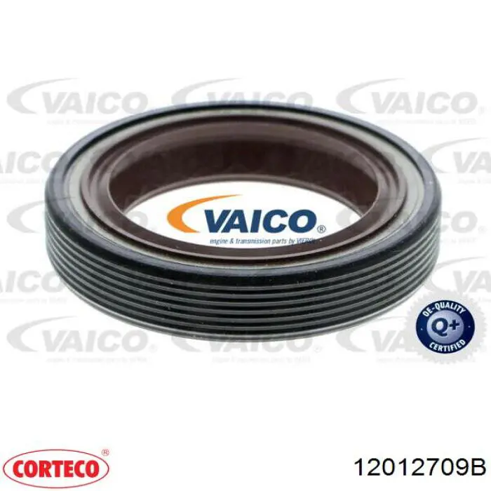 12012709B Corteco