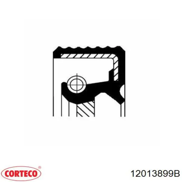 Сальник коленвала двигателя задний 12013899B Corteco
