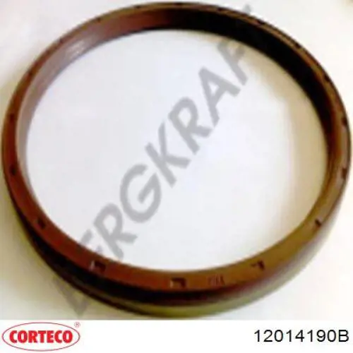 Сальник задней ступицы 12014190B Corteco
