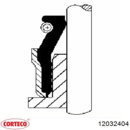12032404 Corteco сальник клапана (маслосъёмный выпускного)