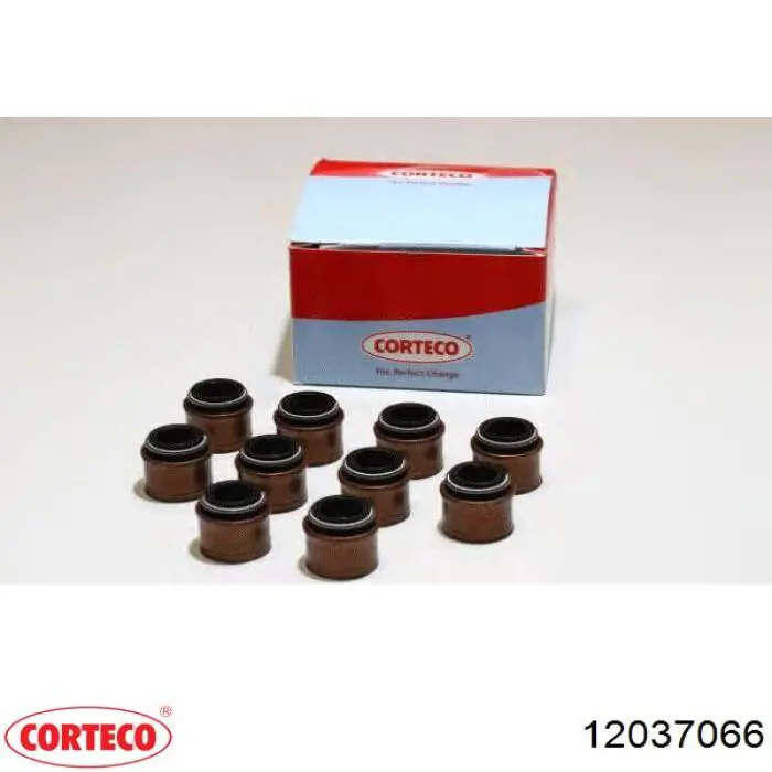 Маслосъемный сальник клапана впуск/выпуск Corteco 12037066 цена, от 2.43 USD