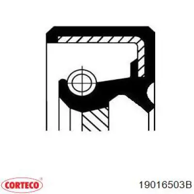 Сальник коленвала двигателя задний 19016503B Corteco