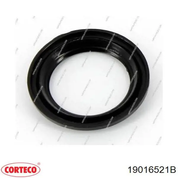 19016521B Corteco Подшипник ступицы задней