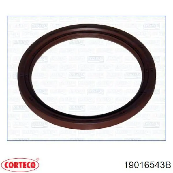 Сальник коленвала задний Corteco 19016543B цена, от 16.17 USD