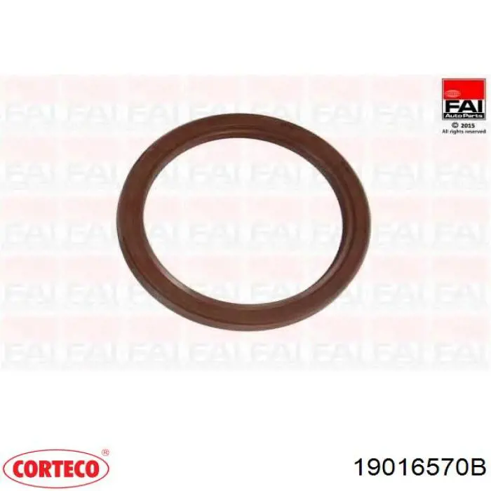 19016570B Corteco Сальник коленвала двигателя, задний