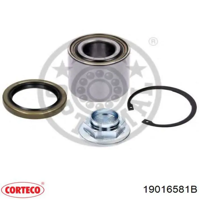 Купить 19016581B Corteco Сальник задней ступицы