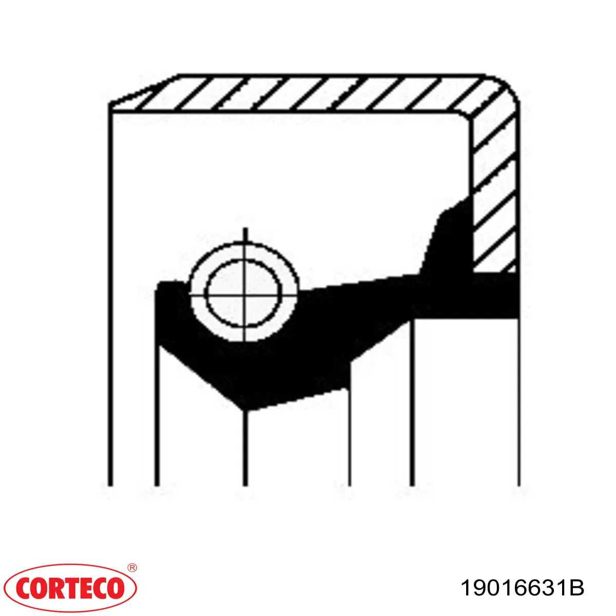 19016631 Corteco 
