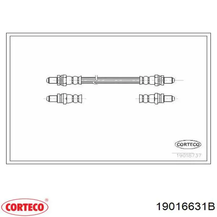 Купить 19016631 Corteco 