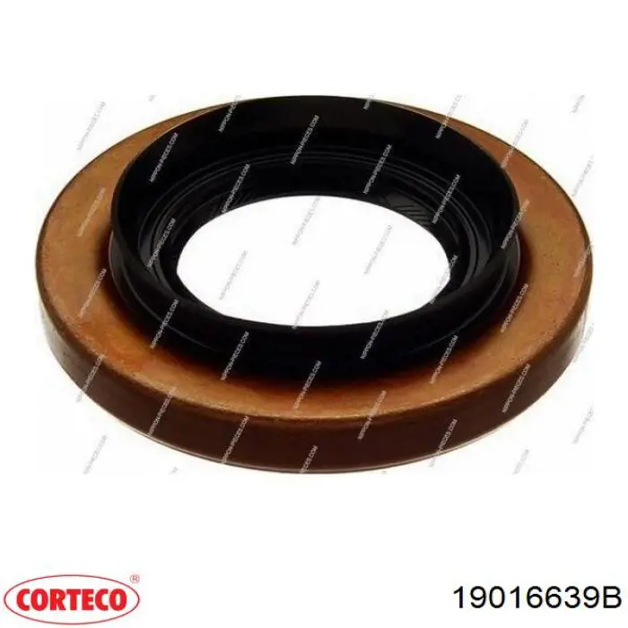 NK123 PAYEN Anillo retén, Diferencial trasero original y equivalente