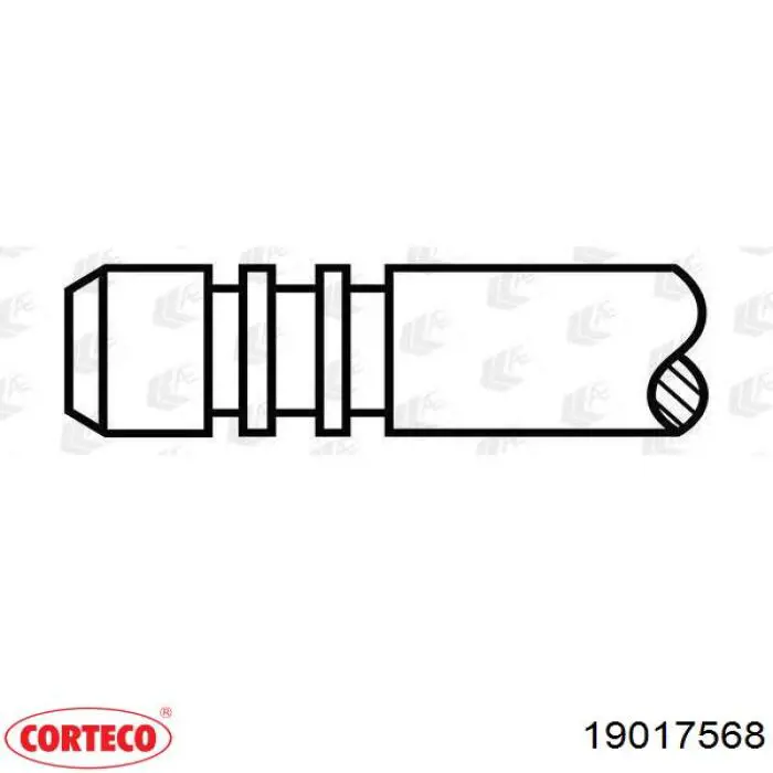 19017568 Corteco 