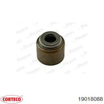 19018088 Corteco сальник клапана (маслосъемный, впуск/выпуск)