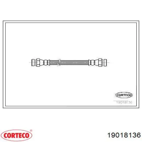  19018136 Corteco