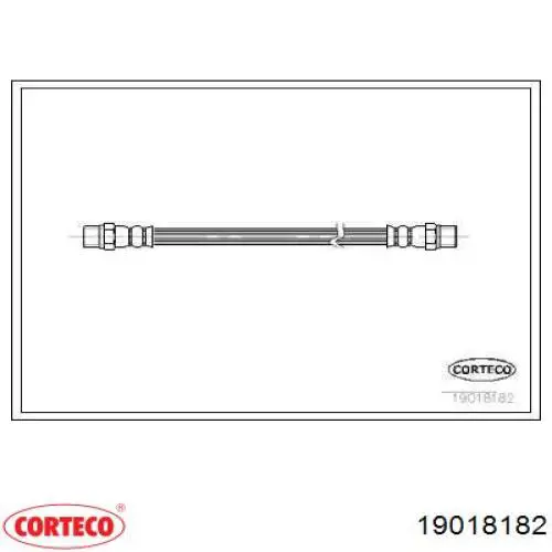 19018182 Corteco