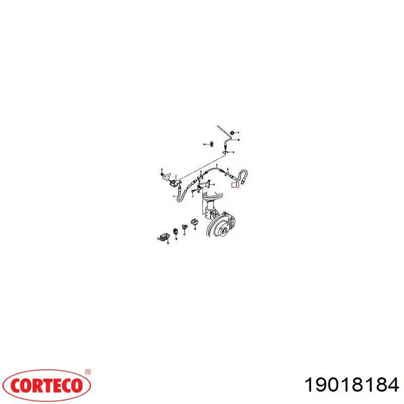 Тормозной шланг задний Corteco 19018184 цена, от 5.67 USD