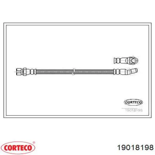  19018198 Corteco