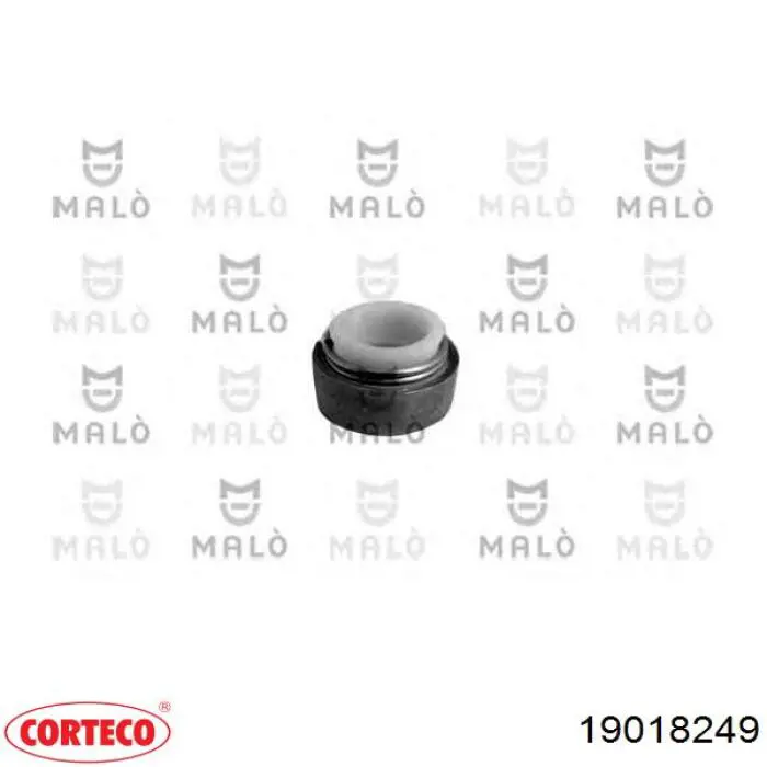 19018249 Corteco