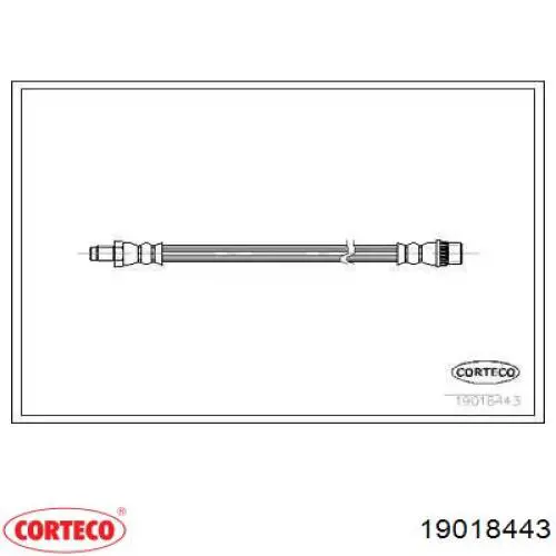 19018443 Corteco шланг тормозной передний