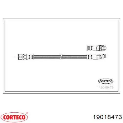  19018473 Corteco