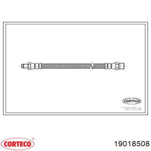 19018508 Corteco