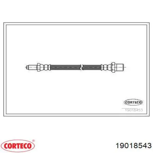  19018543 Corteco