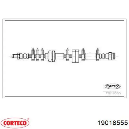  19018555 Corteco