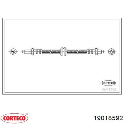  19018592 Corteco