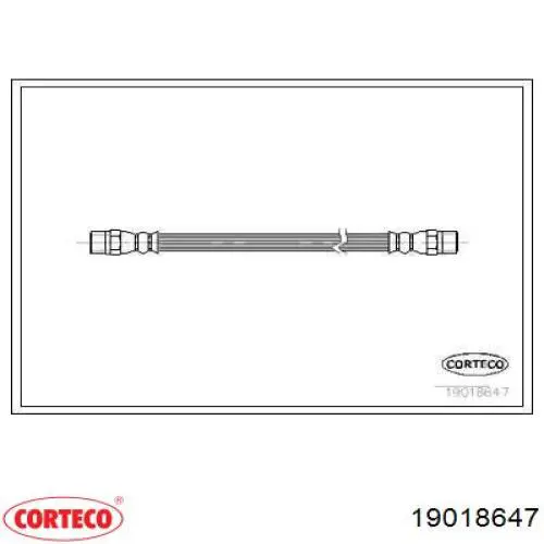  19018647 Corteco