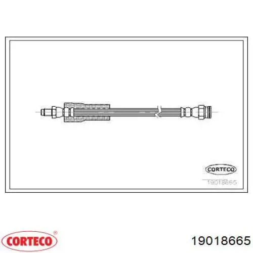  19018665 Corteco