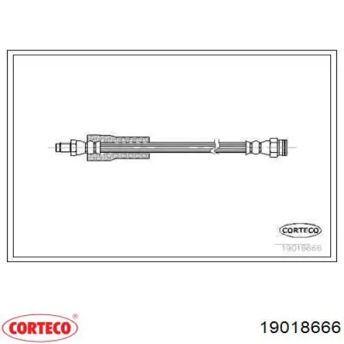 Шланг тормозной передний 19018666 Corteco